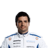 sainz kopie