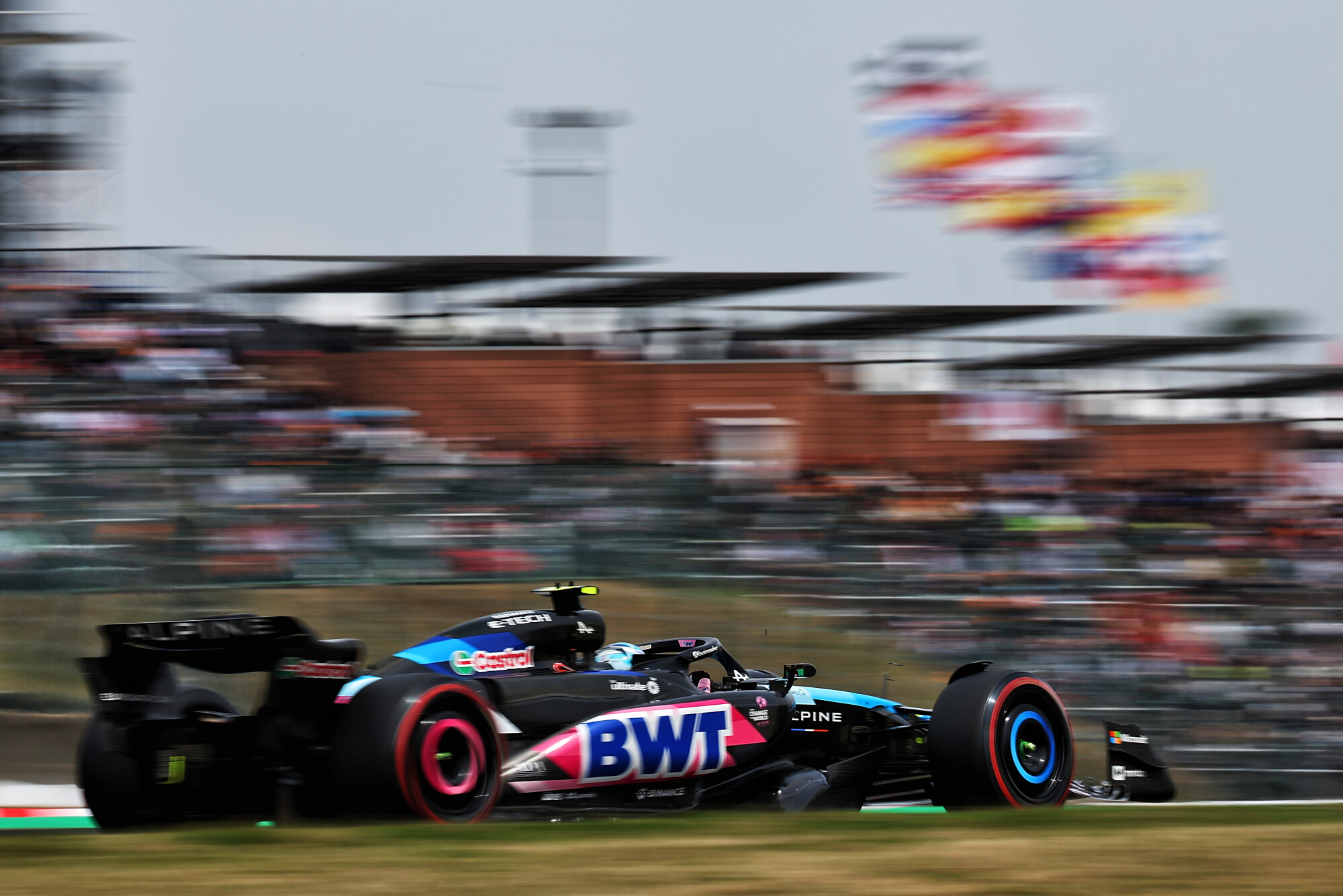 Gasly japan
