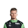 hulkenberg kopie