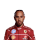 hamilton kopie